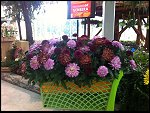 Sat 29 Sep 2012 15:21:56 2012-09-29 16.21.55.JPG 